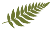 Leaf Sedona Stars